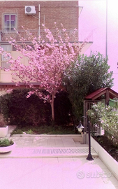 Grazioso Bilocale Arredato