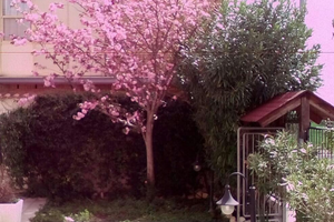 Grazioso Bilocale Arredato