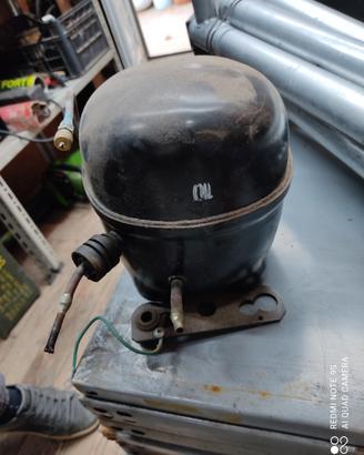 Compressore frigorifero