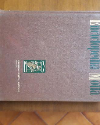 enciclopedia Motta
