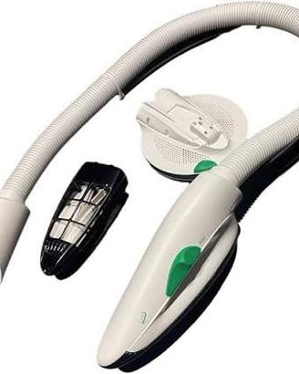 picchio folletto