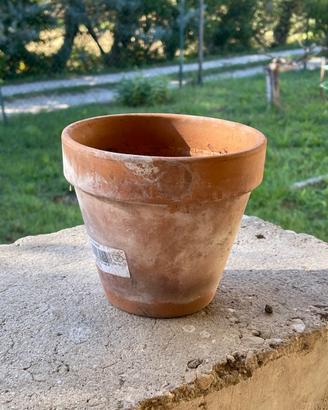 Vasi cotto 