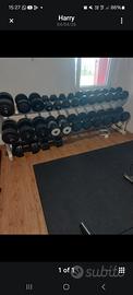 manubri palestra