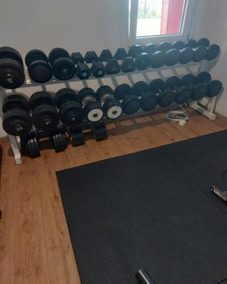 manubri palestra
