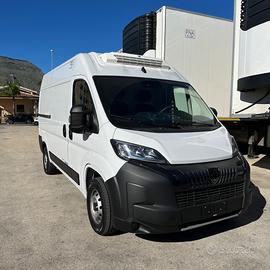 Peugeot boxer coibentato Lamberet