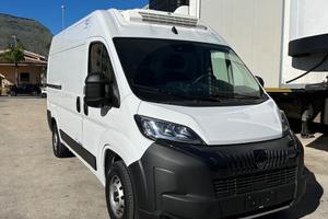 Peugeot boxer coibentato Lamberet