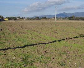 Terreno agricolo Via Is Pardinas