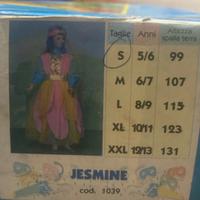 Vestito jesmine carnevale