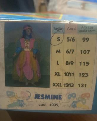 Vestito jesmine carnevale