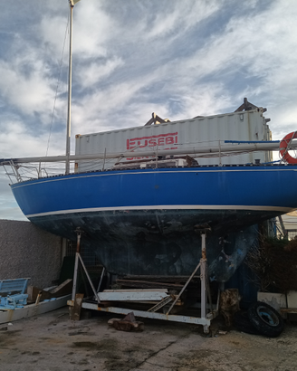 New ranger 29