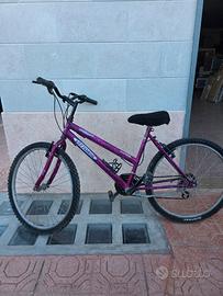 Bicicletta