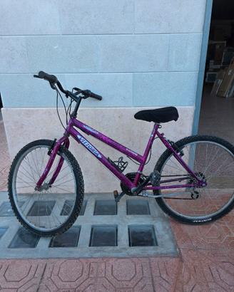 Bicicletta