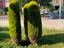 Immagine 2