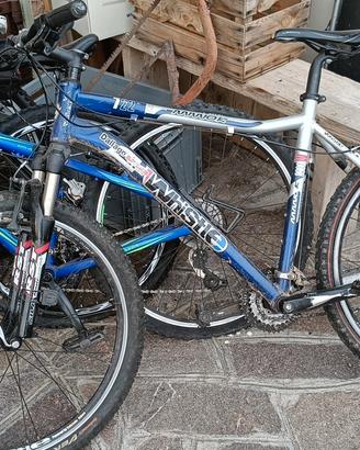 bicicletta Whistle