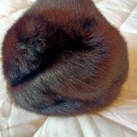 cappello di pelliccia ver 