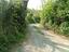 Immagine 14