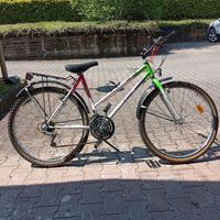 Bicicletta Mountain Bike 26^