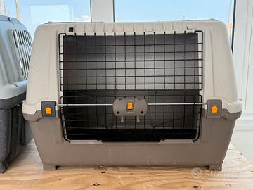 Skudocar trasporto cane macchina