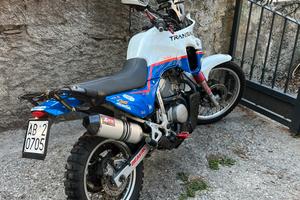 Honda Transalp 600 rally