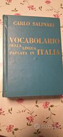 vocabolario lingua italiana