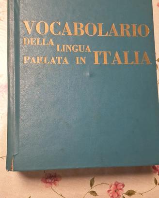vocabolario lingua italiana