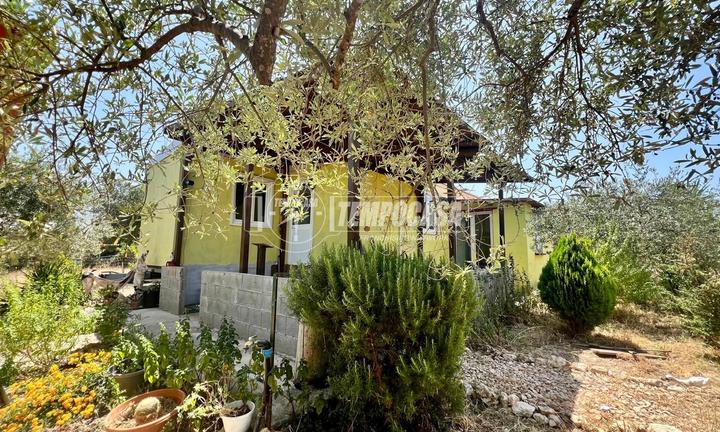 RIBASSATO Terreno Con Casetta Li punti