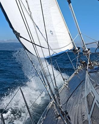 Sweden Yacht C41 barca a vela 12,44 mt