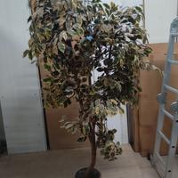 Pianta finta decorativa