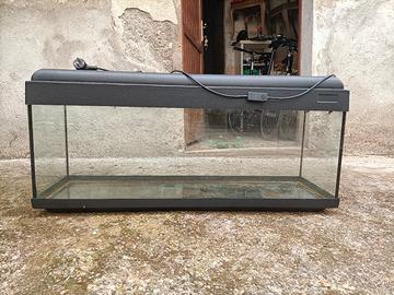 acquario