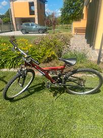 Bicicletta da ragazzo/a