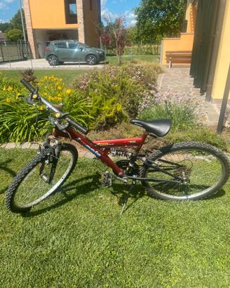 Bicicletta da ragazzo/a