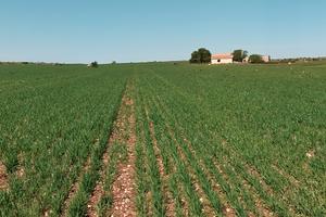 Prestigiosa Azienda Agricola di 40 Ha in Corpo Uni