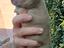 Immagine 5