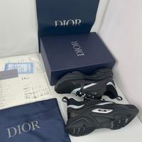 Dior B22
