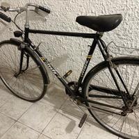 Bicicletta atala fiandre