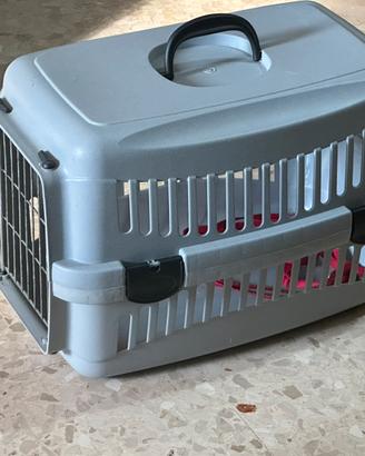 Gabbia di gatti