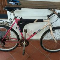 mountainbike MTB specialized modello hard rock