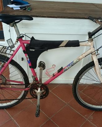 mountainbike MTB specialized modello hard rock