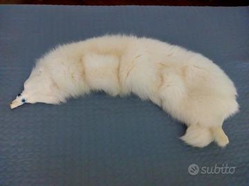 Stola/collo volpe bianca