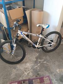 bicicletta ragazzo Poli