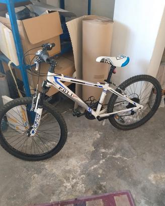 bicicletta ragazzo Poli