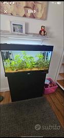 Acquario 125 litri 