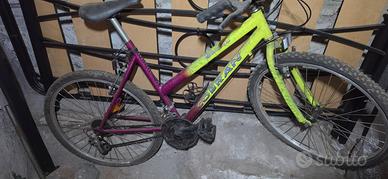 Bicicletta uomo /Donna 