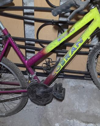Bicicletta uomo /Donna 