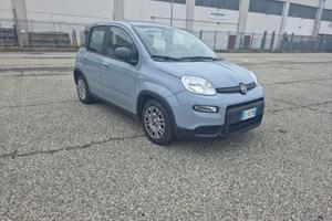 Fiat Panda Hybrid City Life