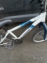 Bicicletta da bambino