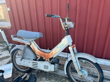 Atala Green 50