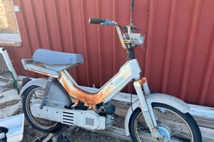 Atala Green 50