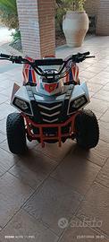 Quad elettrico