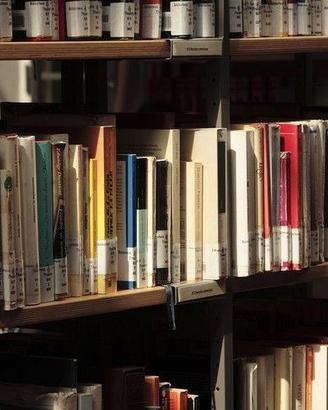 Libri usati romanzi saggi poesie autori vari RA-YO
